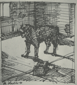 Six Dogs